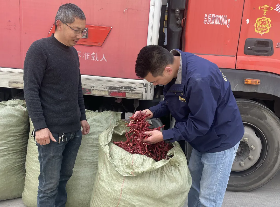 1711346164757998.png 圖片 3.png